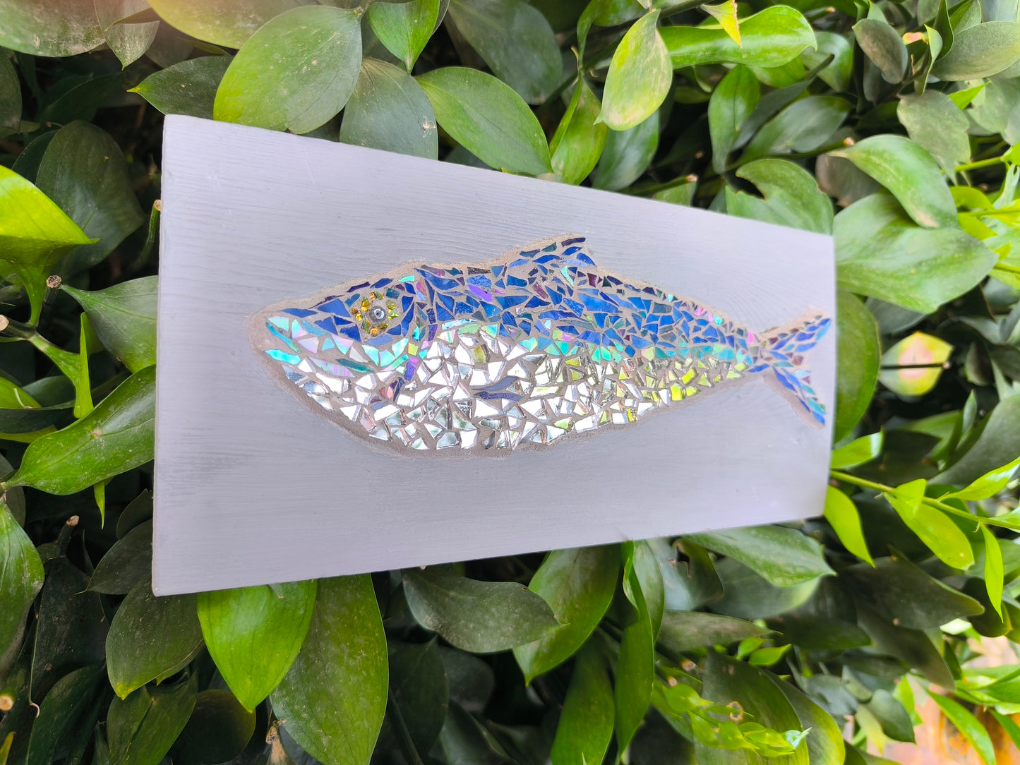 BLUE FISH IN GREY WATERS