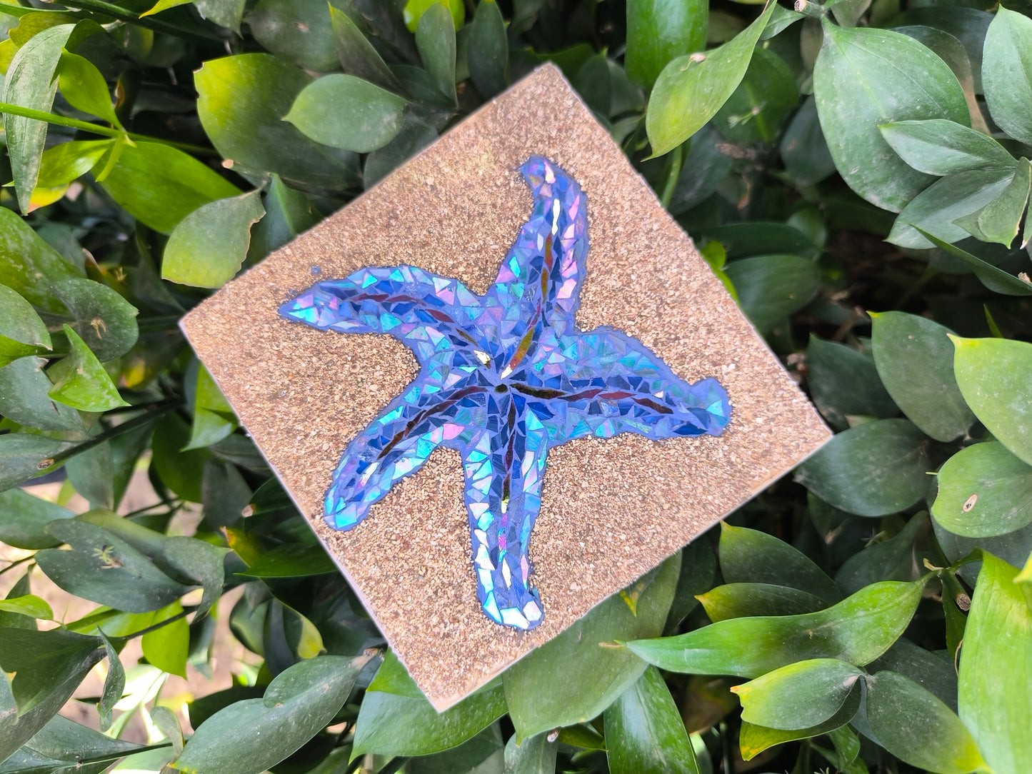 BLUE STARFISH