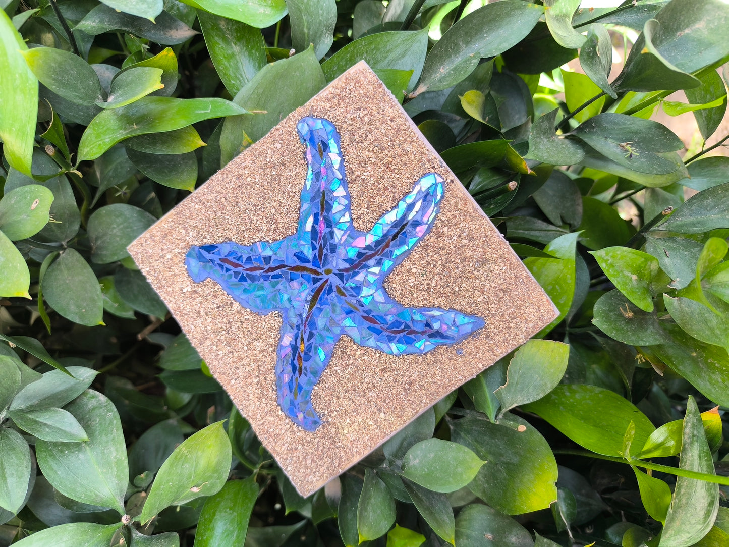 BLUE STARFISH