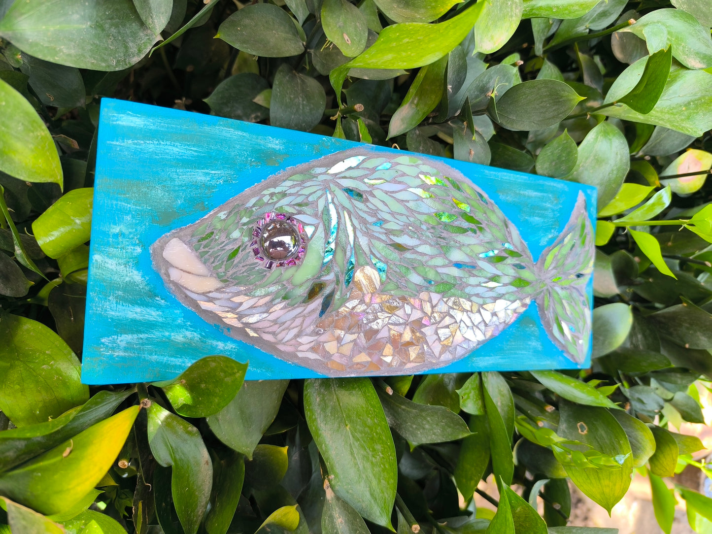 GREEN FISH IN TURQUOIZE WATERS