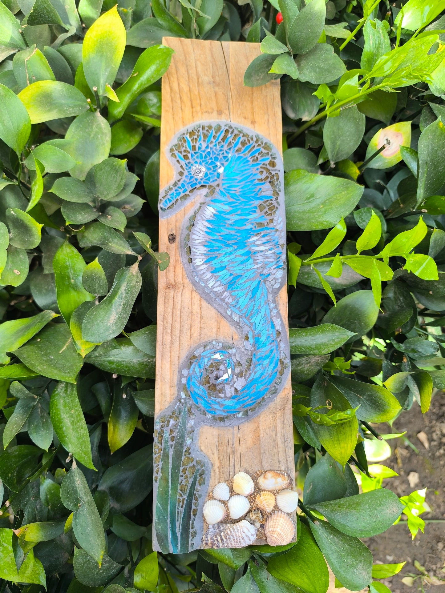 SEA HORSE