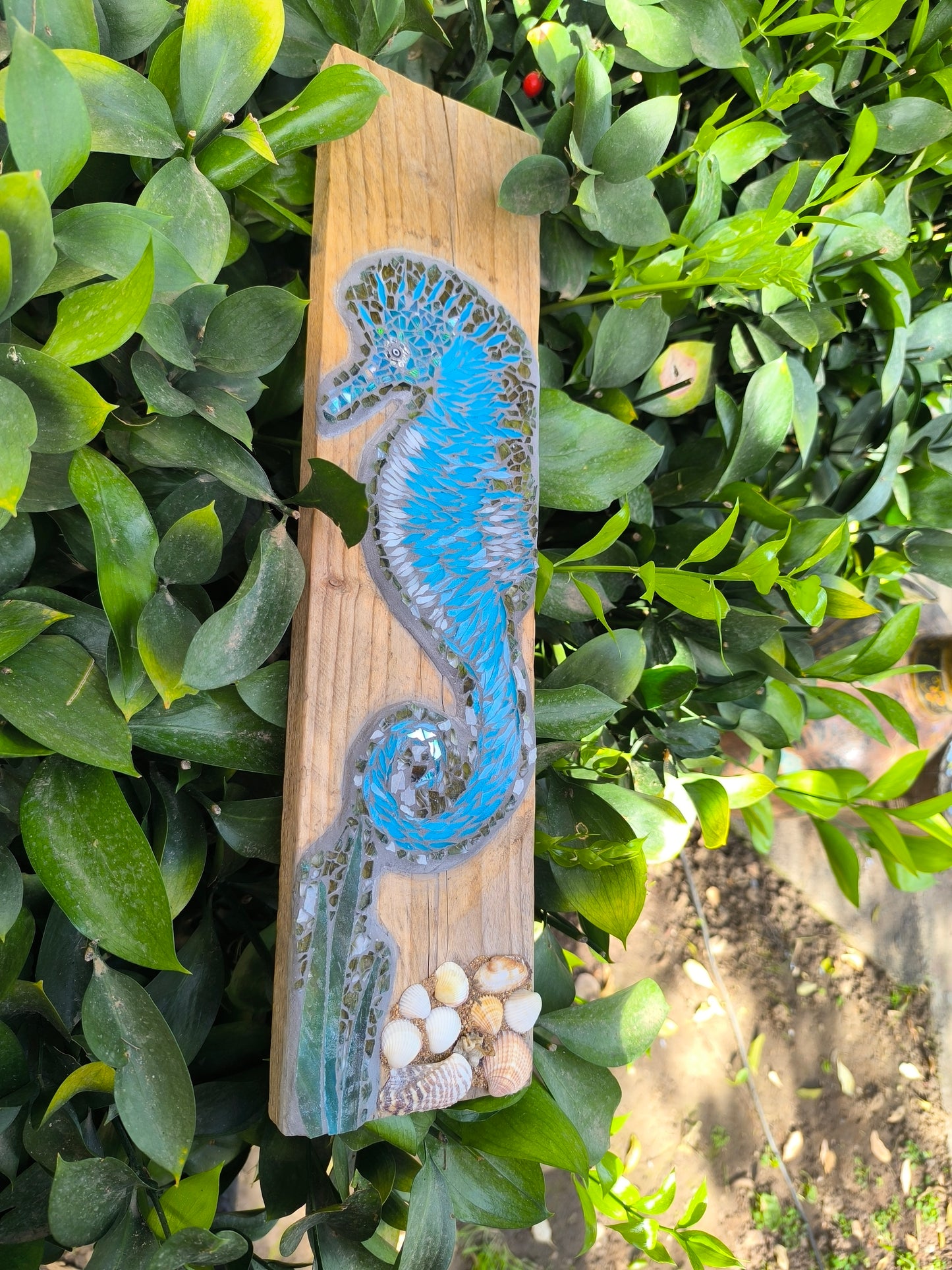 SEA HORSE