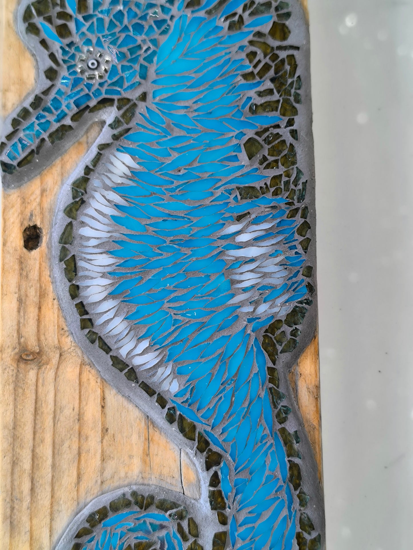 SEA HORSE
