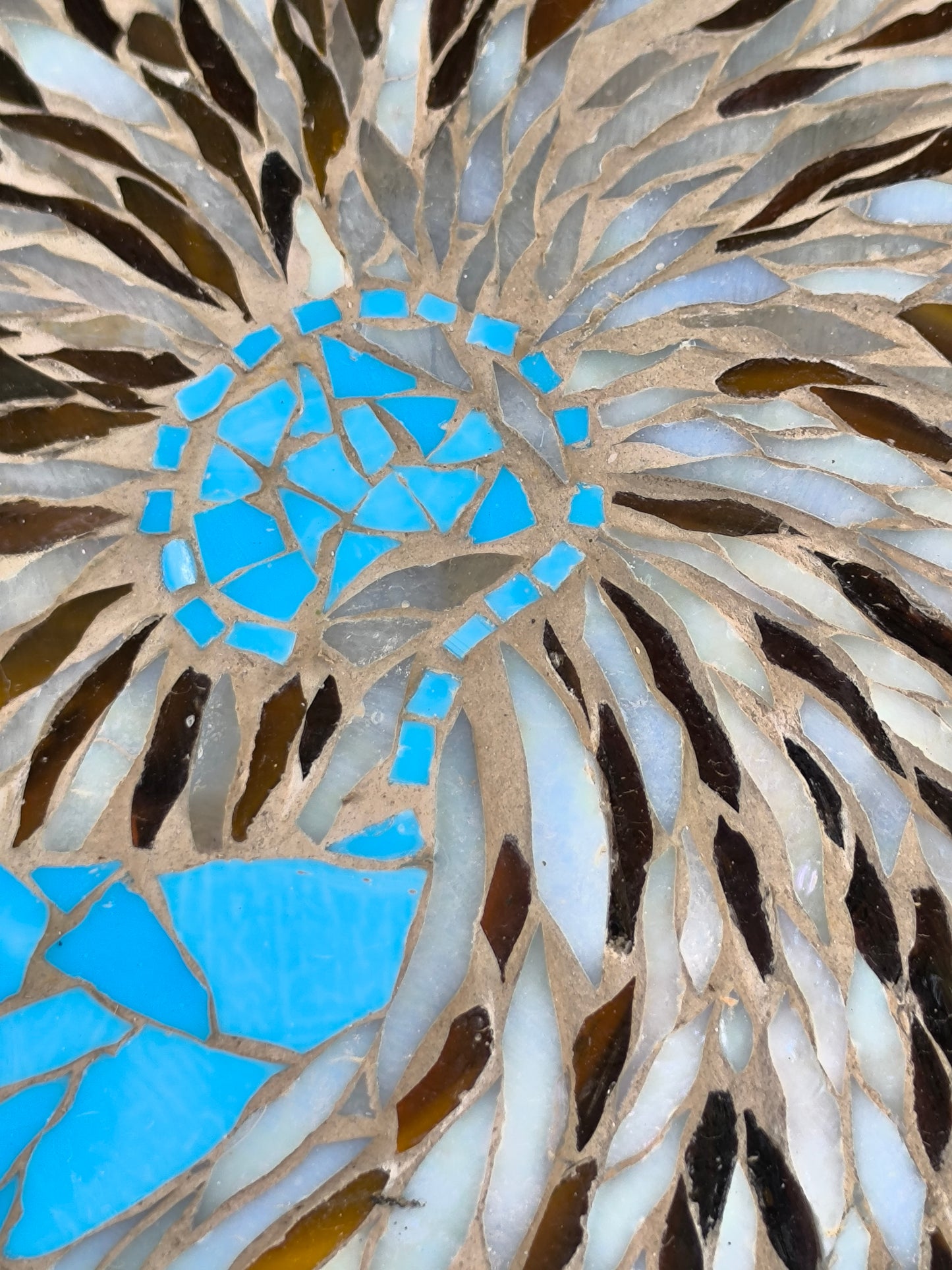 Nautilus