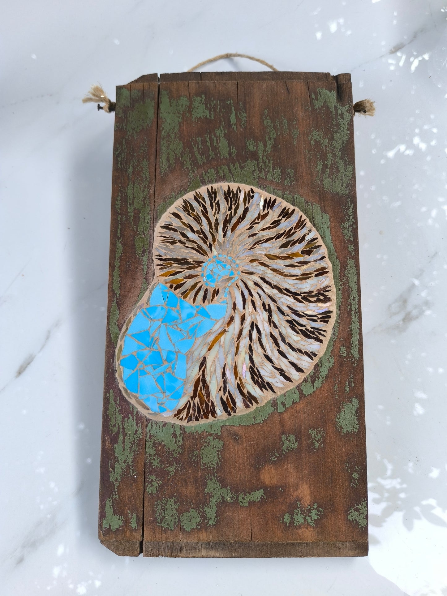 Nautilus