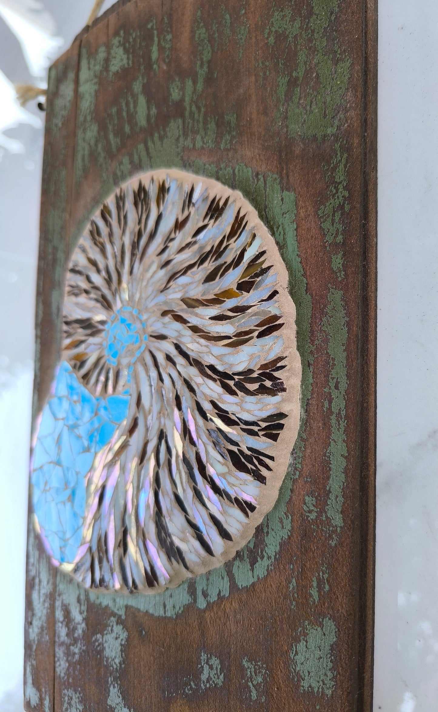 Nautilus