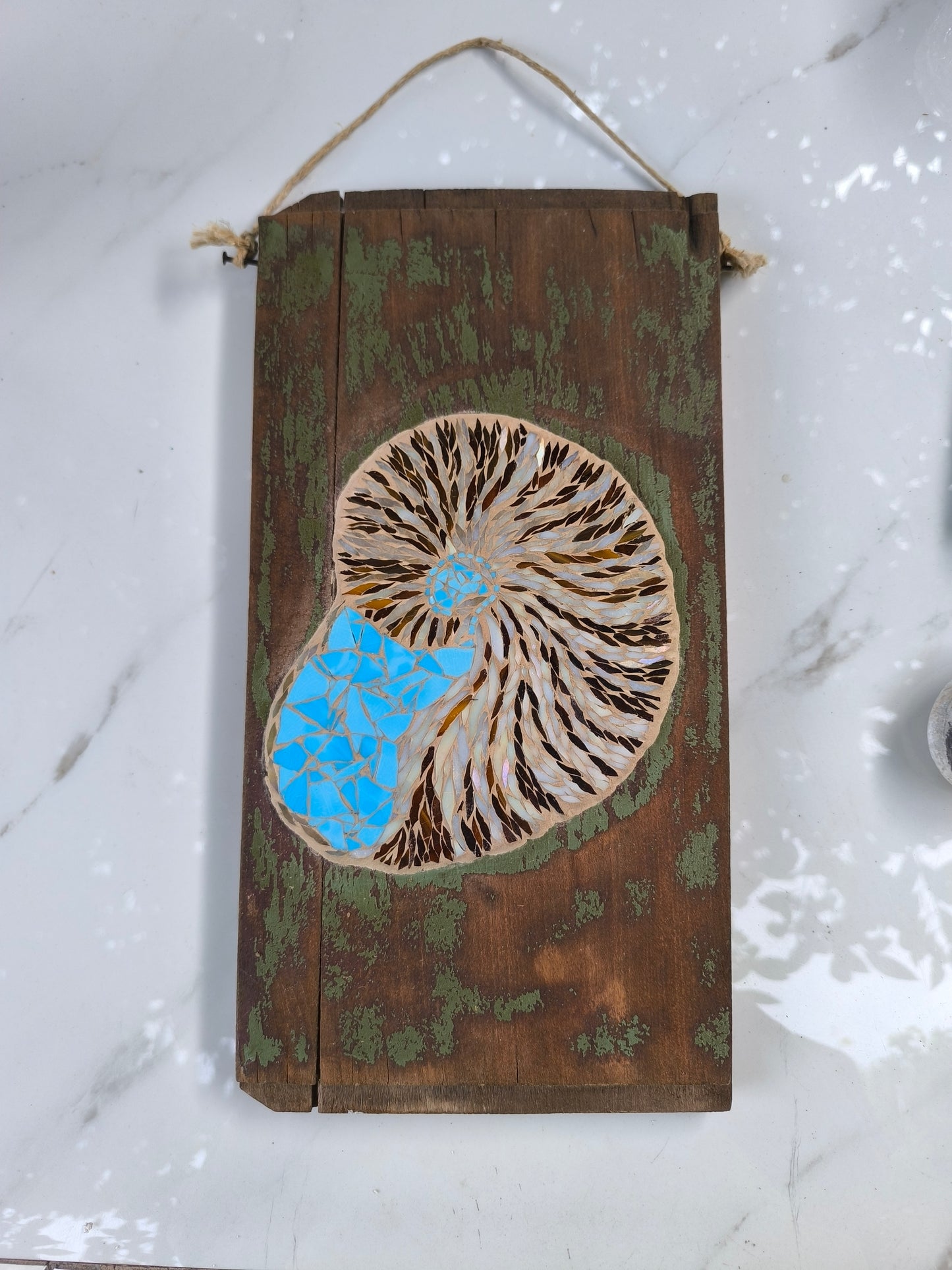 Nautilus